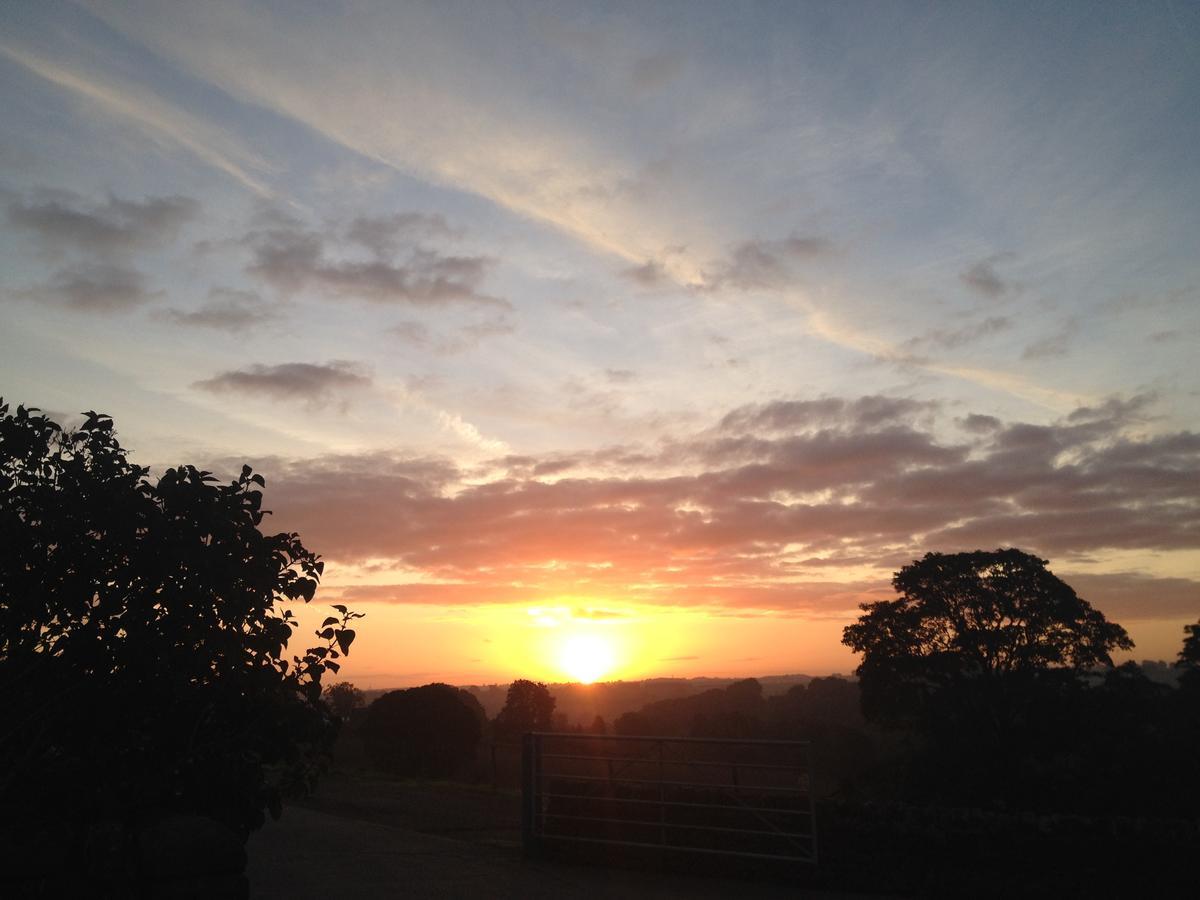 Crich Park Farm B&B מראה חיצוני תמונה